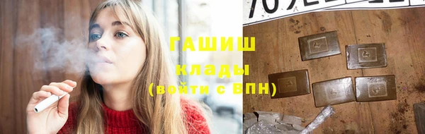 индика Алзамай