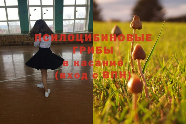 ПСИЛОЦИБИНОВЫЕ ГРИБЫ Абинск