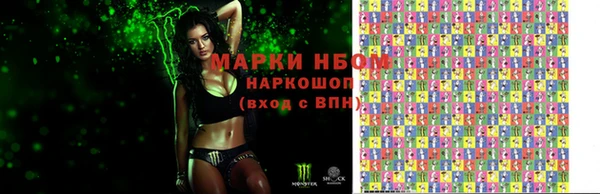 индика Алзамай
