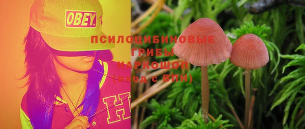 ПСИЛОЦИБИНОВЫЕ ГРИБЫ Абинск
