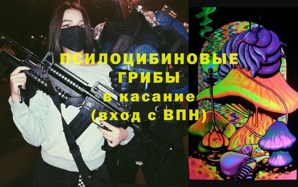 ПСИЛОЦИБИНОВЫЕ ГРИБЫ Абинск